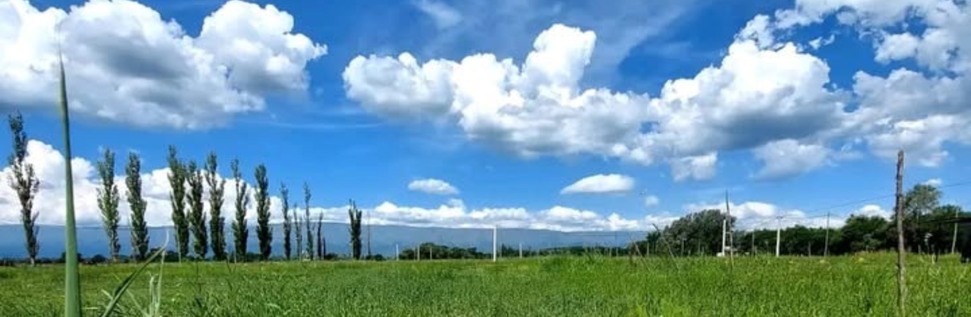 Gestión Inmobiliaria en Merlo S. L.