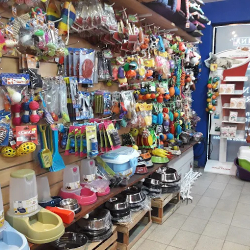 Veterinaria en Merlo San Luis - Imagen 2