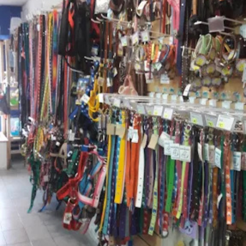 Veterinaria en Merlo San Luis - Imagen 7