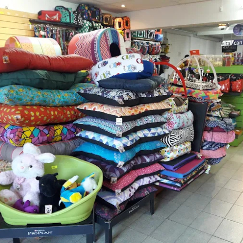 Veterinaria en Merlo San Luis - Imagen 6