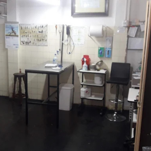 Veterinaria en Merlo San Luis - Imagen 4