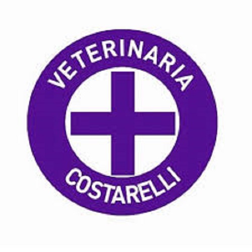 Veterinaria en Merlo San Luis