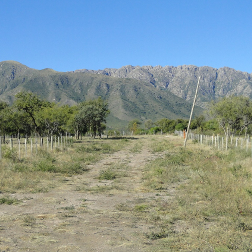 Inmobiliaria en Cortaderas San Luis - Suelos Puntanos - Imagen 5