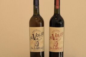 Una Actividad Imperdible en Merlo San Luis: Descubrí el Universo de Vermut al Voleo
