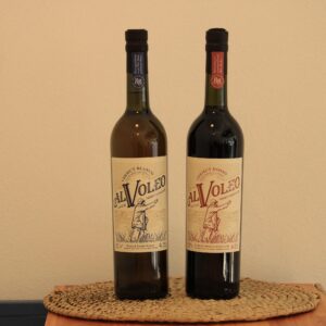 Una Actividad Imperdible en Merlo San Luis: Descubrí el Universo de Vermut al Voleo