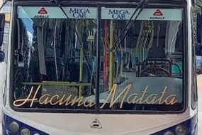 Colectivos Urbanos en Merlo San Luis