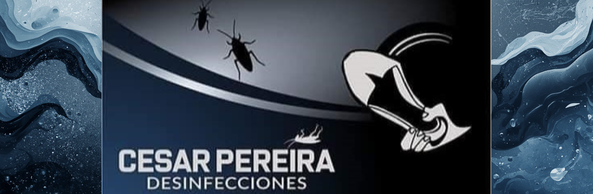 Control de Plagas en Merlo San Luis y Zona