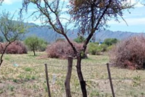 Venta de terrenos en Villa Larca San Luis: oportunidad inmobiliaria en plena naturaleza