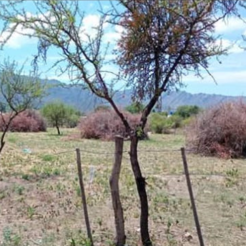 Venta de terrenos en Villa Larca San Luis: oportunidad inmobiliaria en plena naturaleza