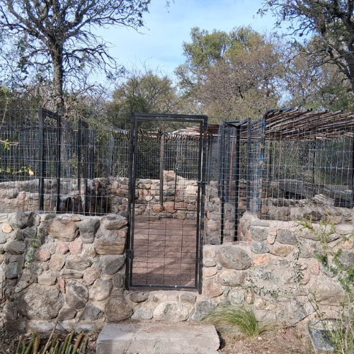 Guardería Canina en Cortaderas San Luis - Guardería Cortaderas - Imagen 2