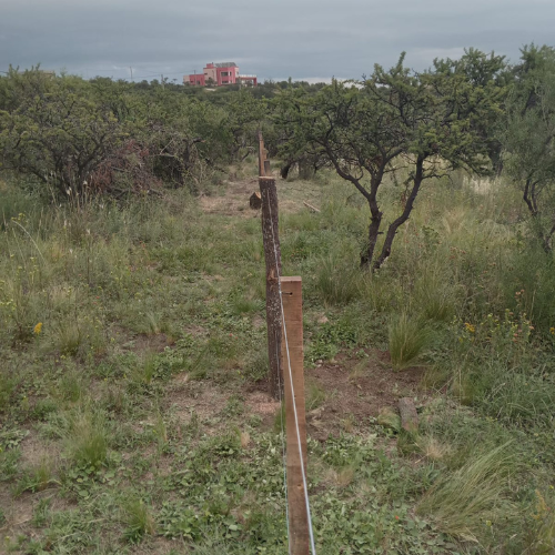 Trabajos Rurales en San Luis y Córdoba - Federico - Imagen 2